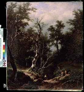 Waldlandschaft