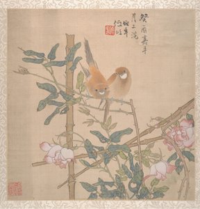 Zwei Vögel auf einem blühenden Rosenstrauch, spätes 19. Jahrhundert von Ren Yi