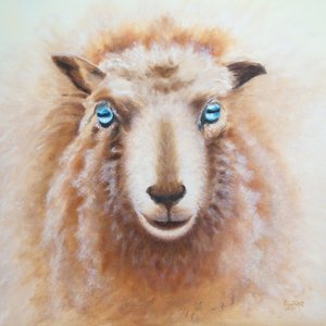 Schaf von Renate Dohr