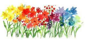 Regenbogengartenblumen von Renate Holzner
