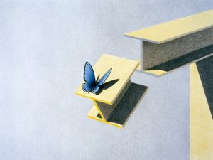 Schmetterling von Rene Boin