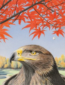Adler