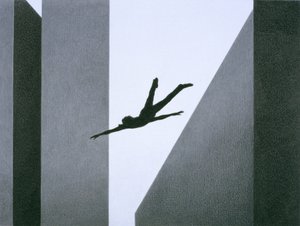Fliegen von Rene Boin