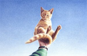 Handvoll von Rene Boin