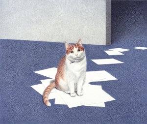 Papiere von Rene Boin