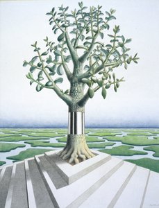 Sukkulent von Rene Boin