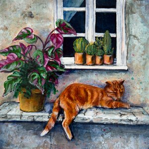 Orangene Katze im Fensterschlaf