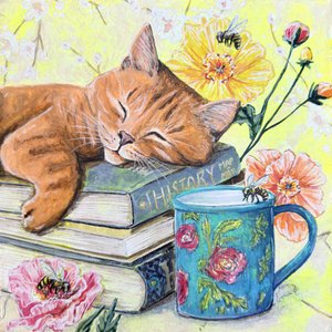 Schlafende Katze Zwischen Büchern