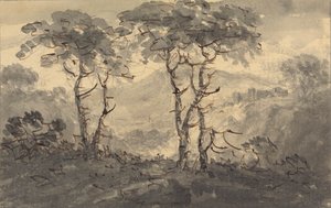 Tannen in einer Berglandschaft