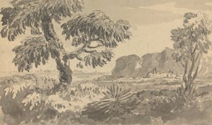 Landschaft mit zwei Bäumen und Klippe