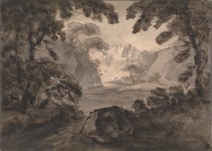 Blick durch die Bäume