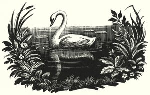 Hans Christian Andersen: Das hässliche Entlein von Rex (after) Whistler