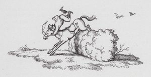Das Grand National von Rex (after) Whistler