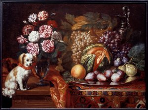 Stillleben mit Zwergspaniel