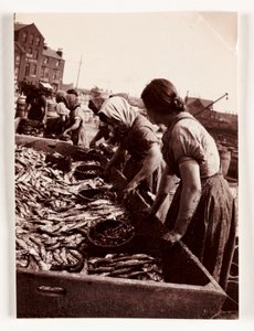 Fischen, Fischerfrauen sortieren Fisch, Whitby Harbour, North Yorkshire, ca. 1905
