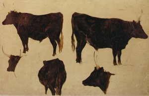 Studien von Langhornrindern von Richard Ansdell