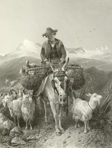 Der Ziegenhirte von Granada
