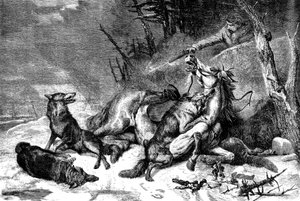 Reisender zu Pferd von einem Wolfsrudel angegriffen