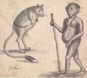 Affen (einer von dreien auf einer Halterung) von Richard Brookes