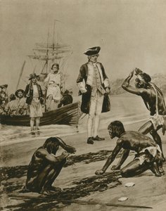 Wie Kapitän Cook in Tasmanien begrüßt wurde von Richard Caton Woodville junior