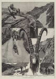 Steinbockjagd im Himalaya von Richard Caton Woodville junior