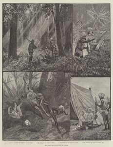 Meine erste Büffeljagd in Indien