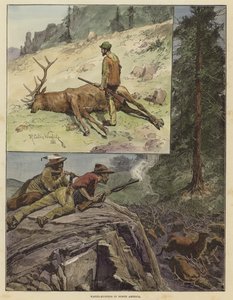 Wapiti-Jagd in Nordamerika