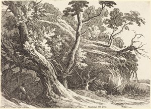 Landschaft mit großen Bäumen