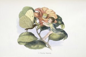 Ein tanzender Schmetterling