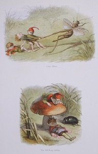 Grausame Elfen und der schlafende Elfenkönig, Illustrationen aus 