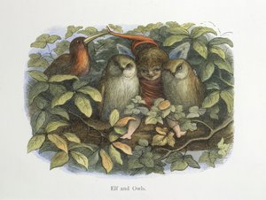 Elf und Eulen