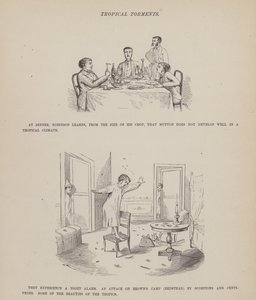 Seite aus Die amerikanische Tour von Messrs Brown, Jones und Robinson (Gravur) von Richard Doyle