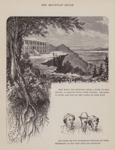 Seite aus Die amerikanische Tour von Herrn Brown, Jones und Robinson (Gravur) von Richard Doyle