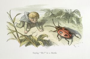 Bo! zu einem Käfer sagen von Richard Doyle