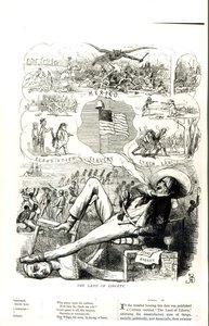 Das Land der Freiheit, Karikatur aus Punch Magazine von Richard Doyle