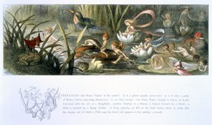 Seerosen und Wasserfeen, Illustration aus 