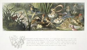 Seerosen und Wasserfeen von Richard Doyle
