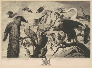 Ein Konzert der Vögel von Richard Earlom, after Mario Nuzzi