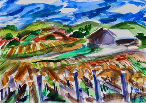 Napa im Herbst, 2017