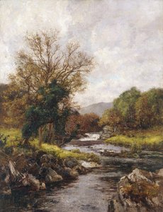 Der Forellenbach