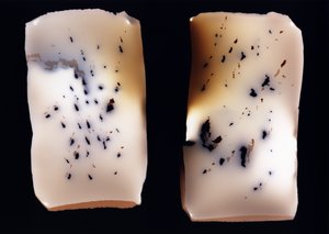 Ohne Titel (Doppelstudie) von Richard Green