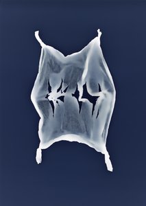 Ohne Titel, 2003 von Richard Green