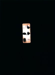 Ohne Titel, 2004