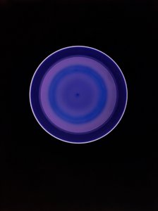 Ohne Titel, 2004