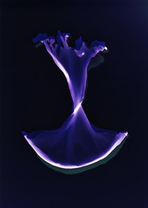 Ohne Titel, 2004