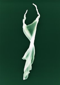 Ohne Titel