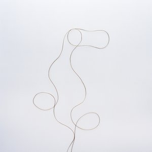 Ohne Titel von Richard Green