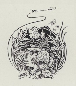 Der Hase und die Schildkröte von Richard Heighway