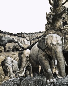 Der seltsame Amebelodon von Richard Hook