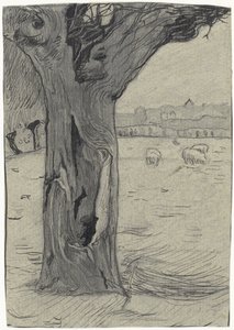 Kopfweide in einer Weidelandschaft von Richard Nicolaüs Roland Holst